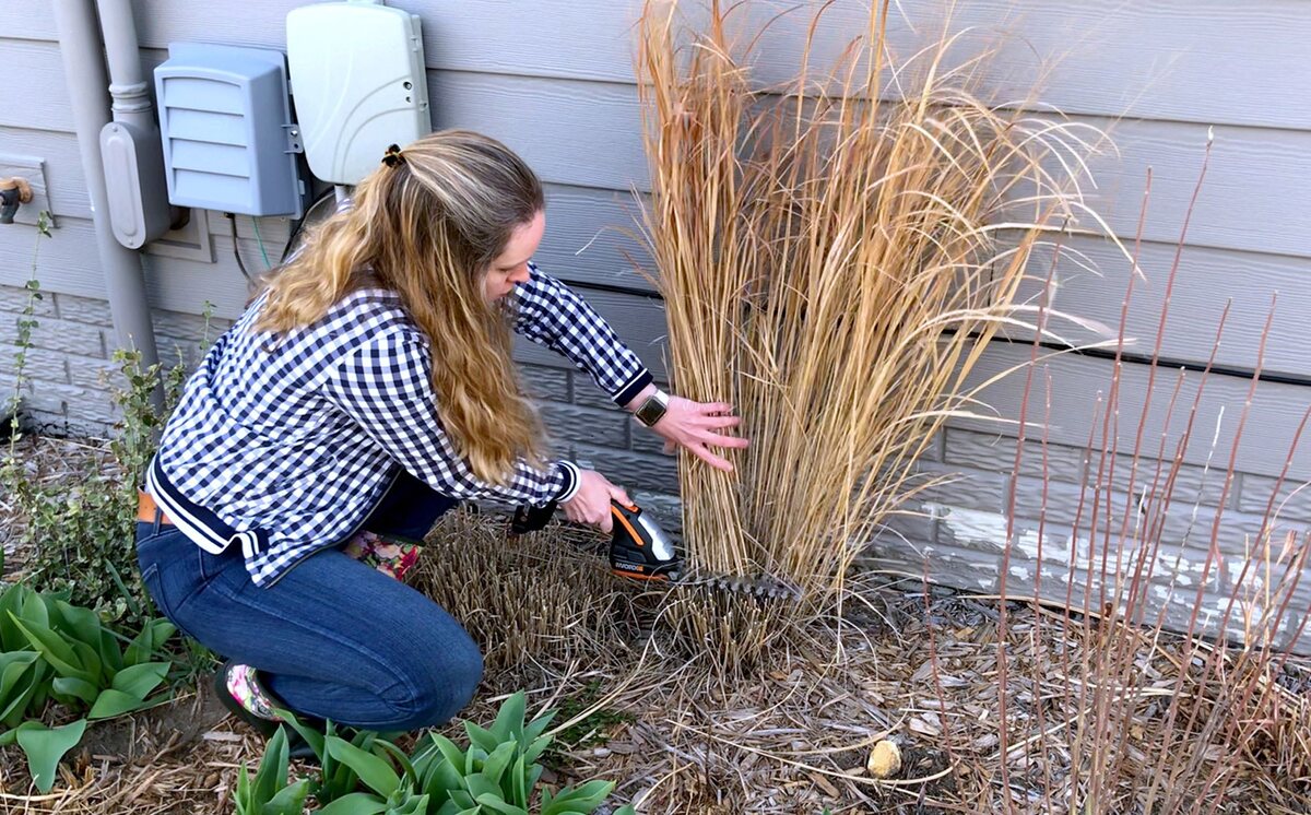 How To Care For Decorative Grass