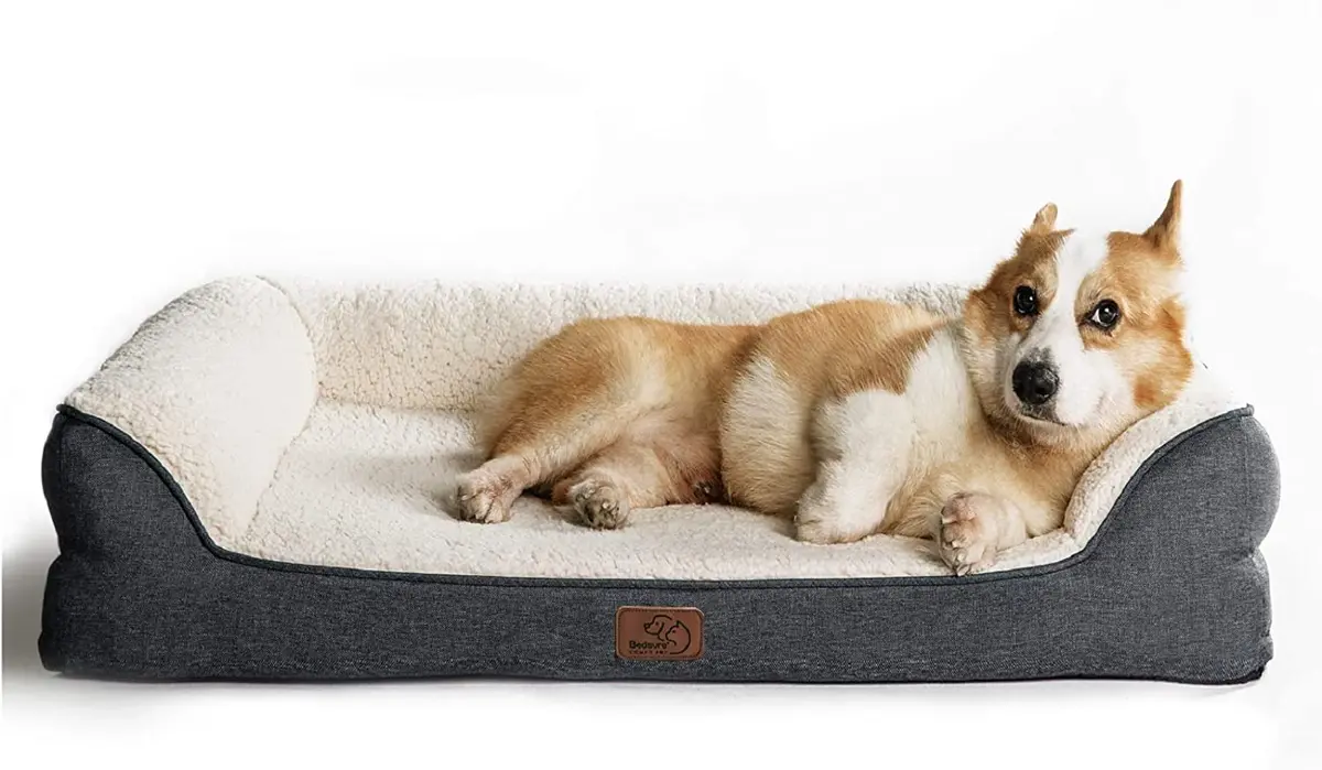 How To Clean A Memory Foam Dog Bed
