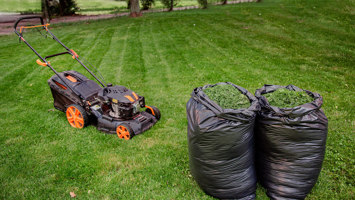 How To Clean Grass Clippings After Mowing