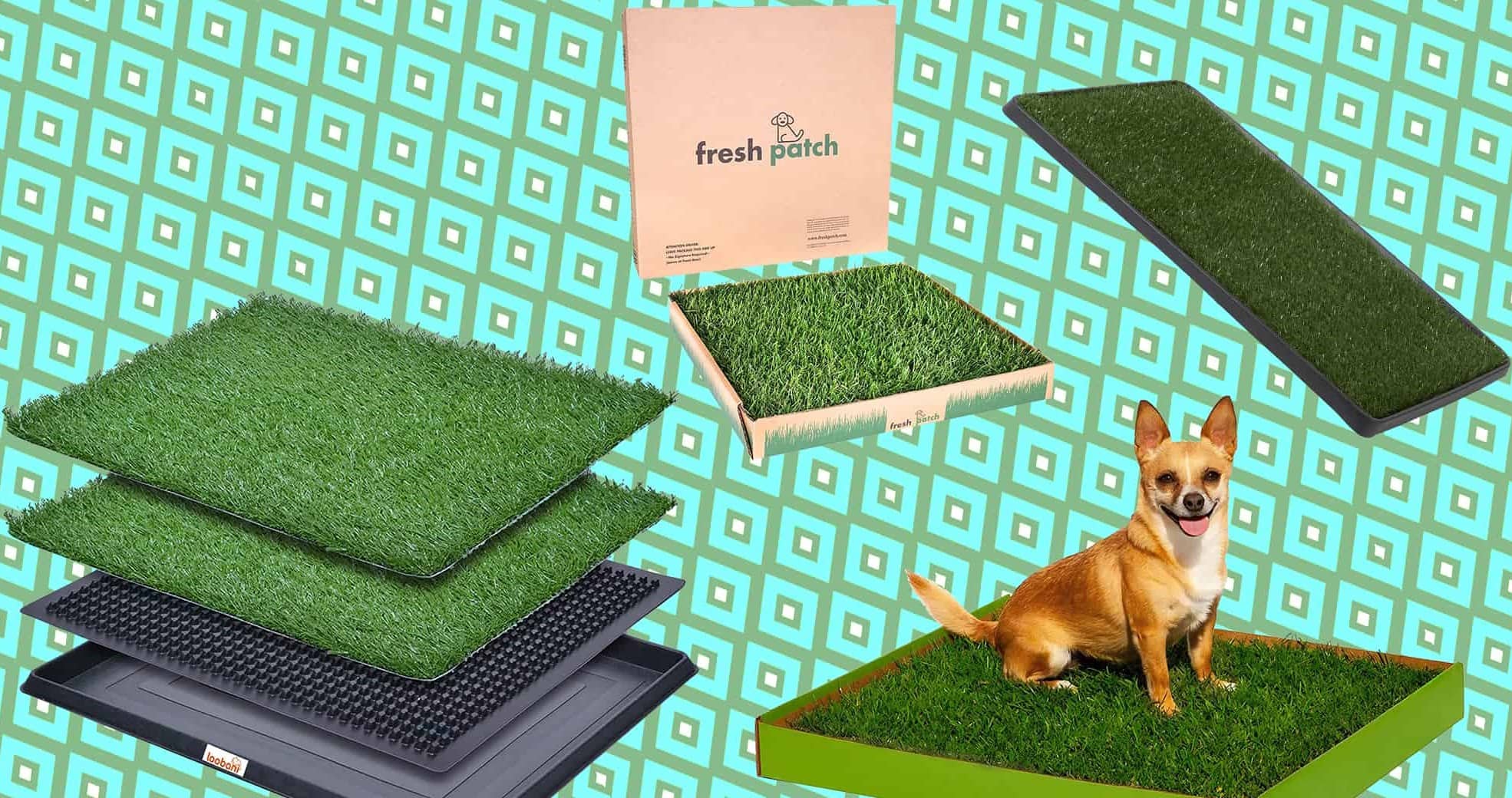 How To Clean Grass Pee Pad