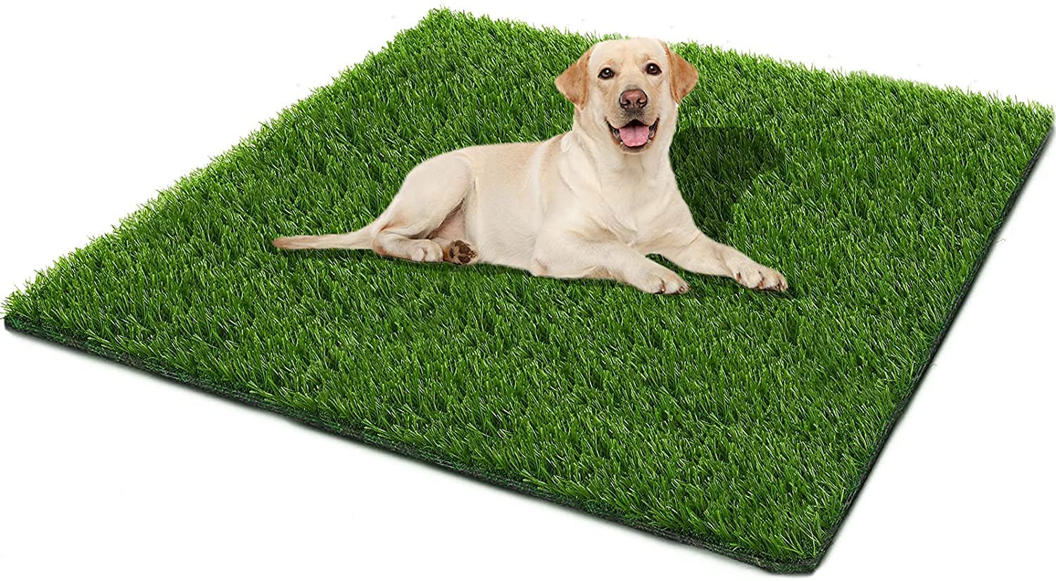 How To Clean Grass Potty Pad