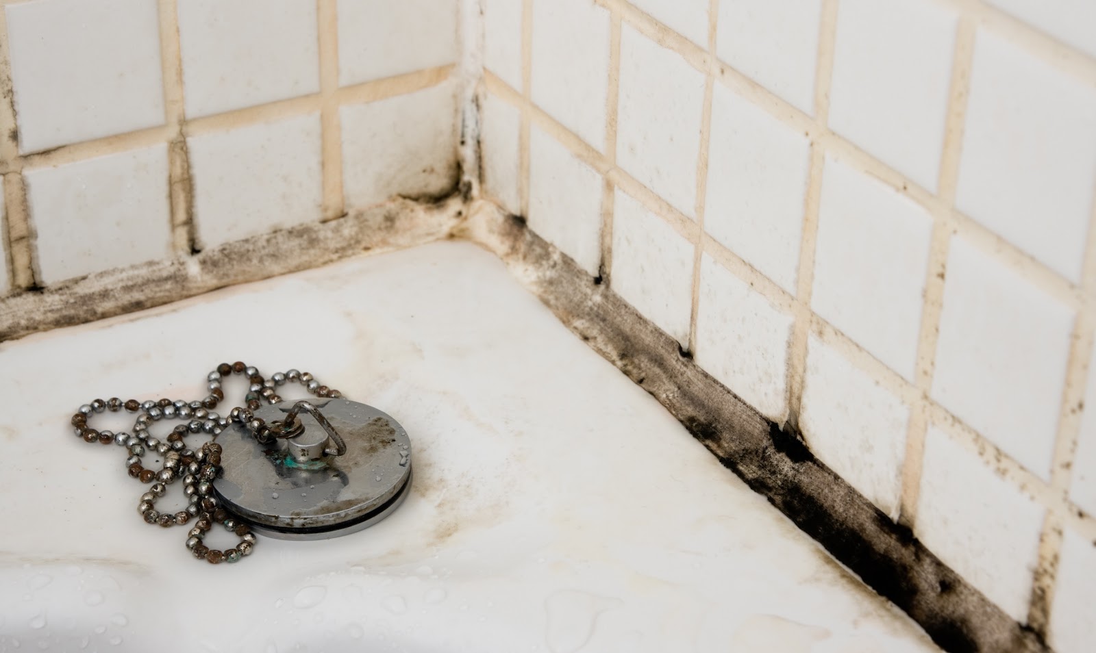 How To Clean Mold From A Shower Tile Grout