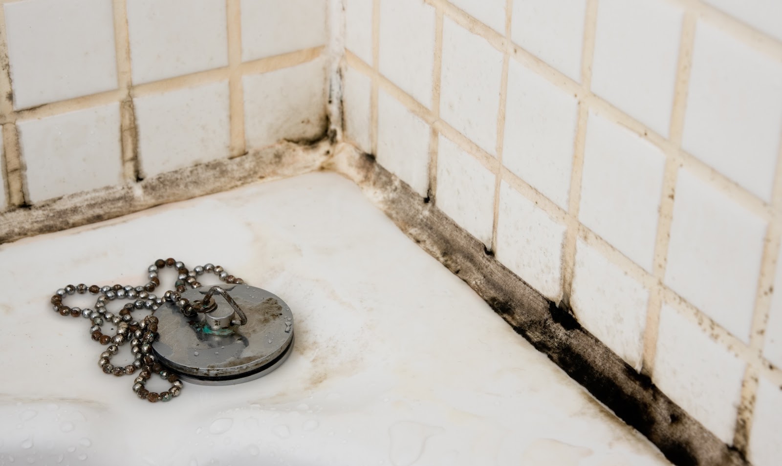 Removing Black Mold From Shower Grout At Derrick Evans Blog Removing Black Mold From Shower Grout At Derrick Evans Blog