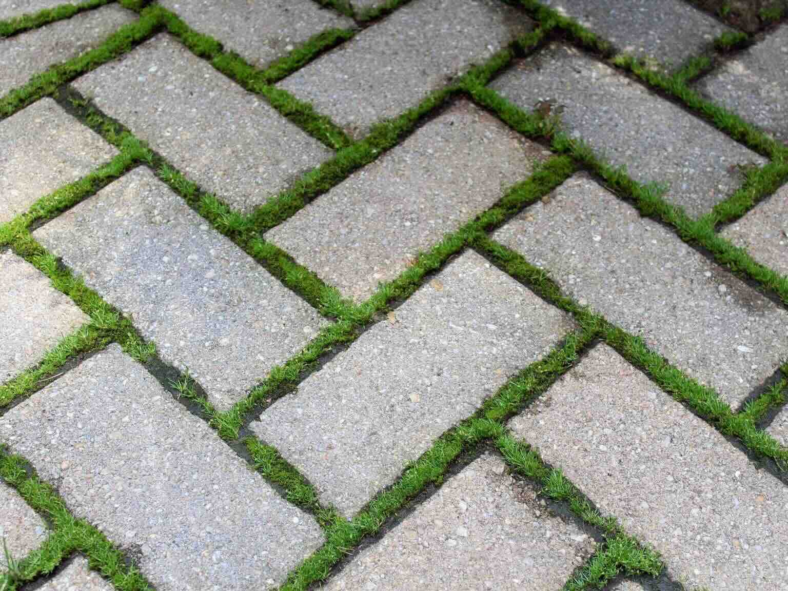 How To Clean Moss Off Brick Pavers