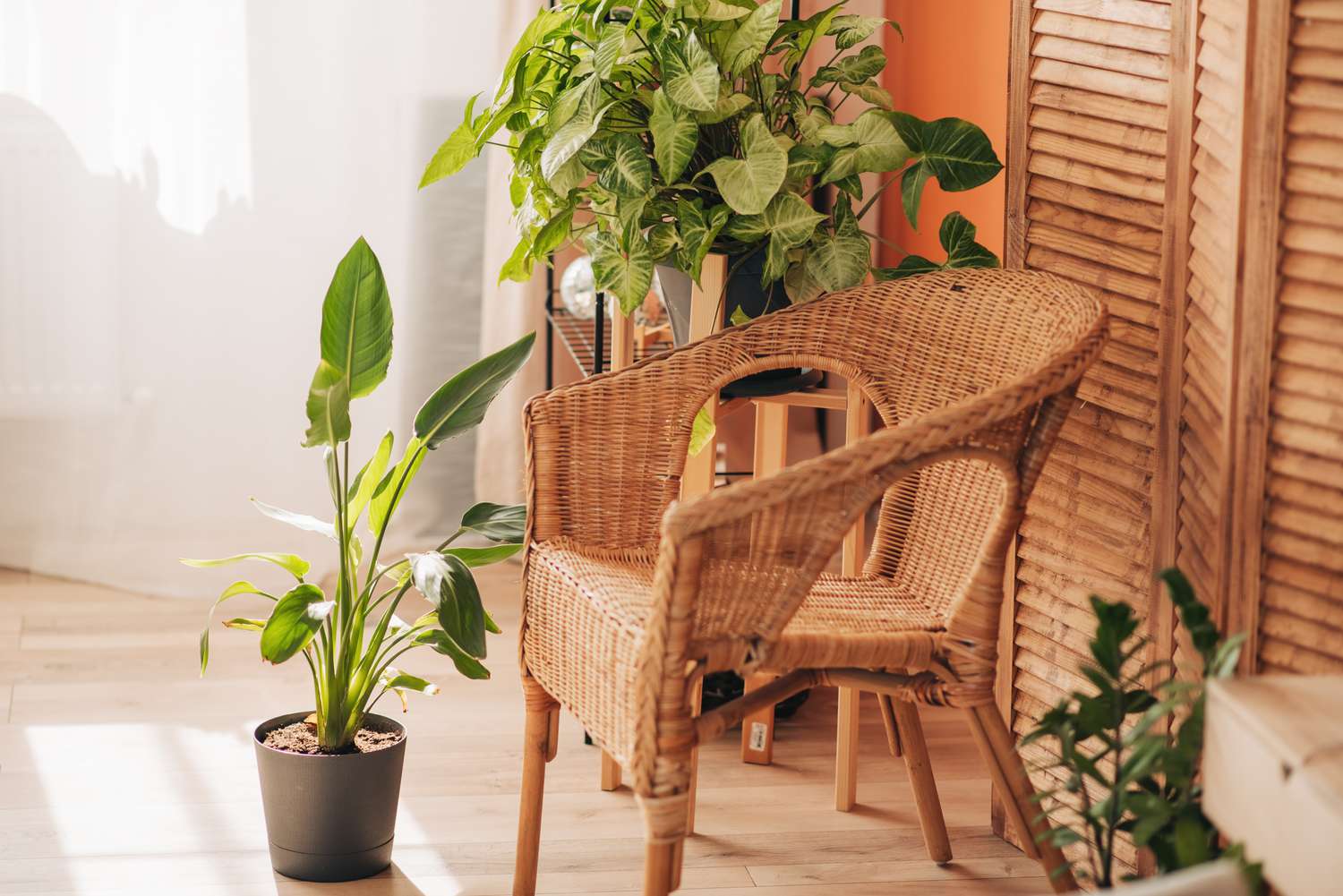 How To Clean Rattan Outdoor Furniture