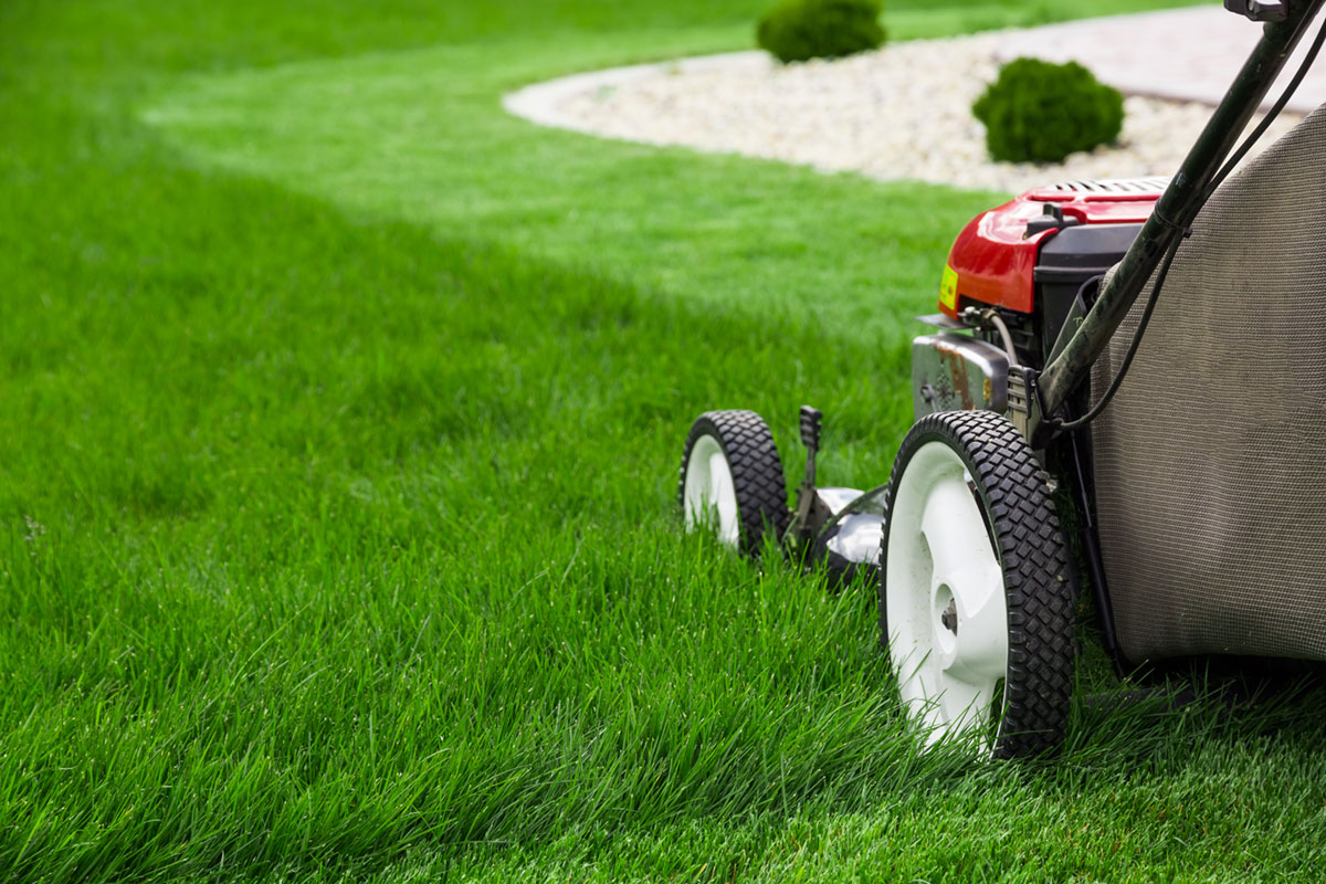 How To Clean Up Grass Clippings