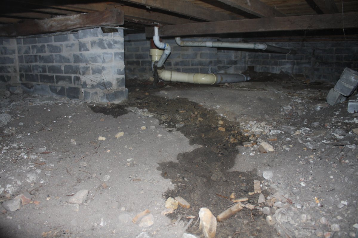 How To Clean Up Sewage In A Crawl Space
