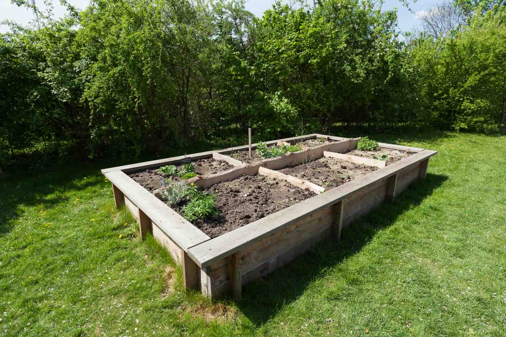 How To Clear A Garden Bed