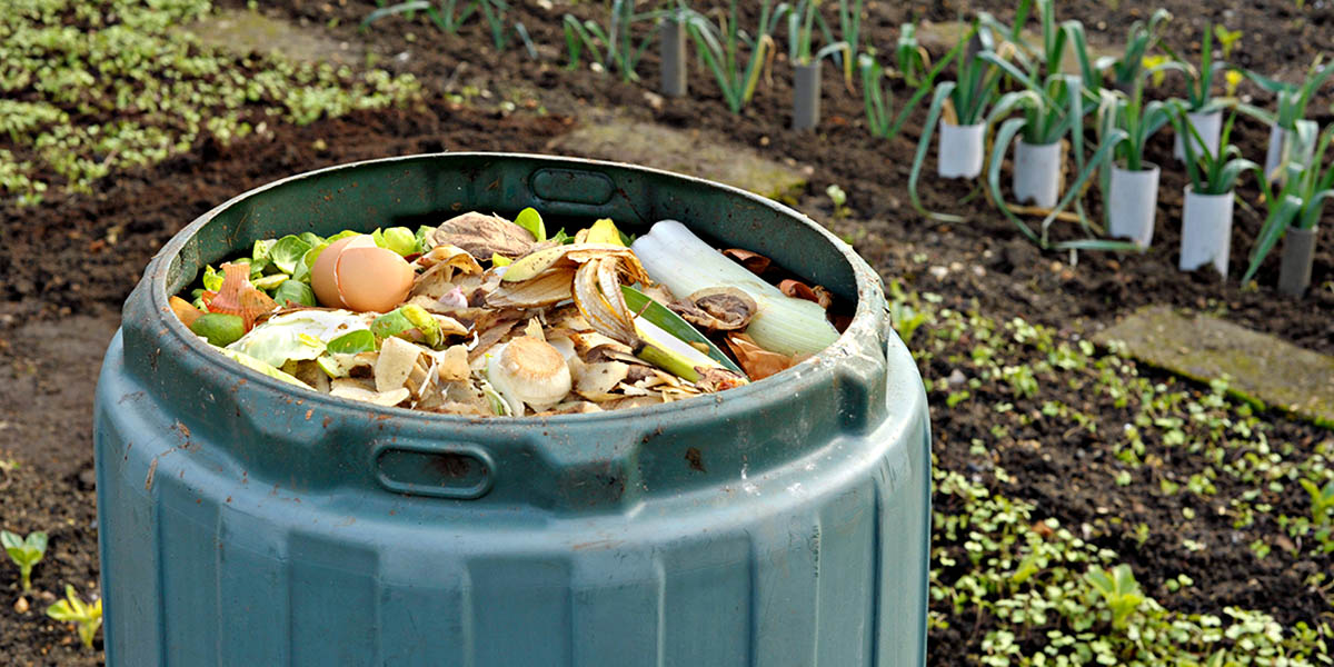 How To Compost With A Bin
