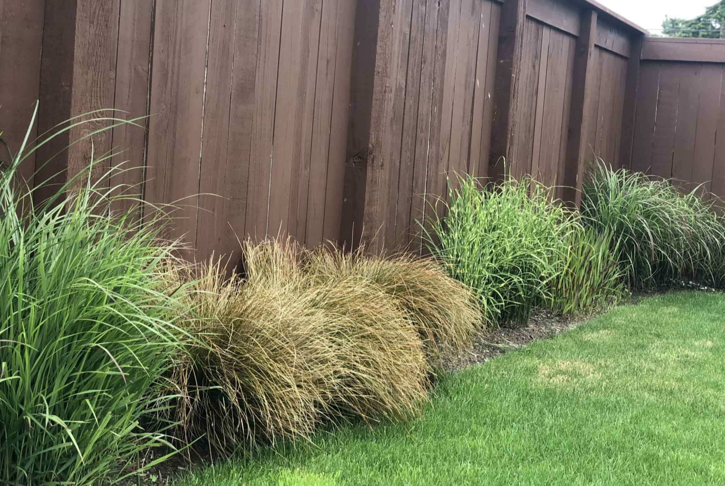 How To Cut Grass Next To Fence