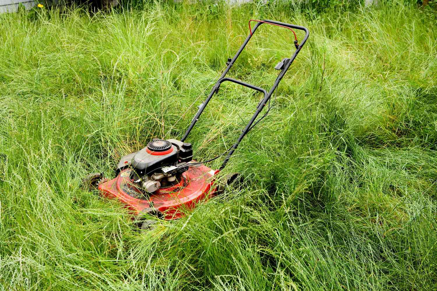How To Cut Really High Grass