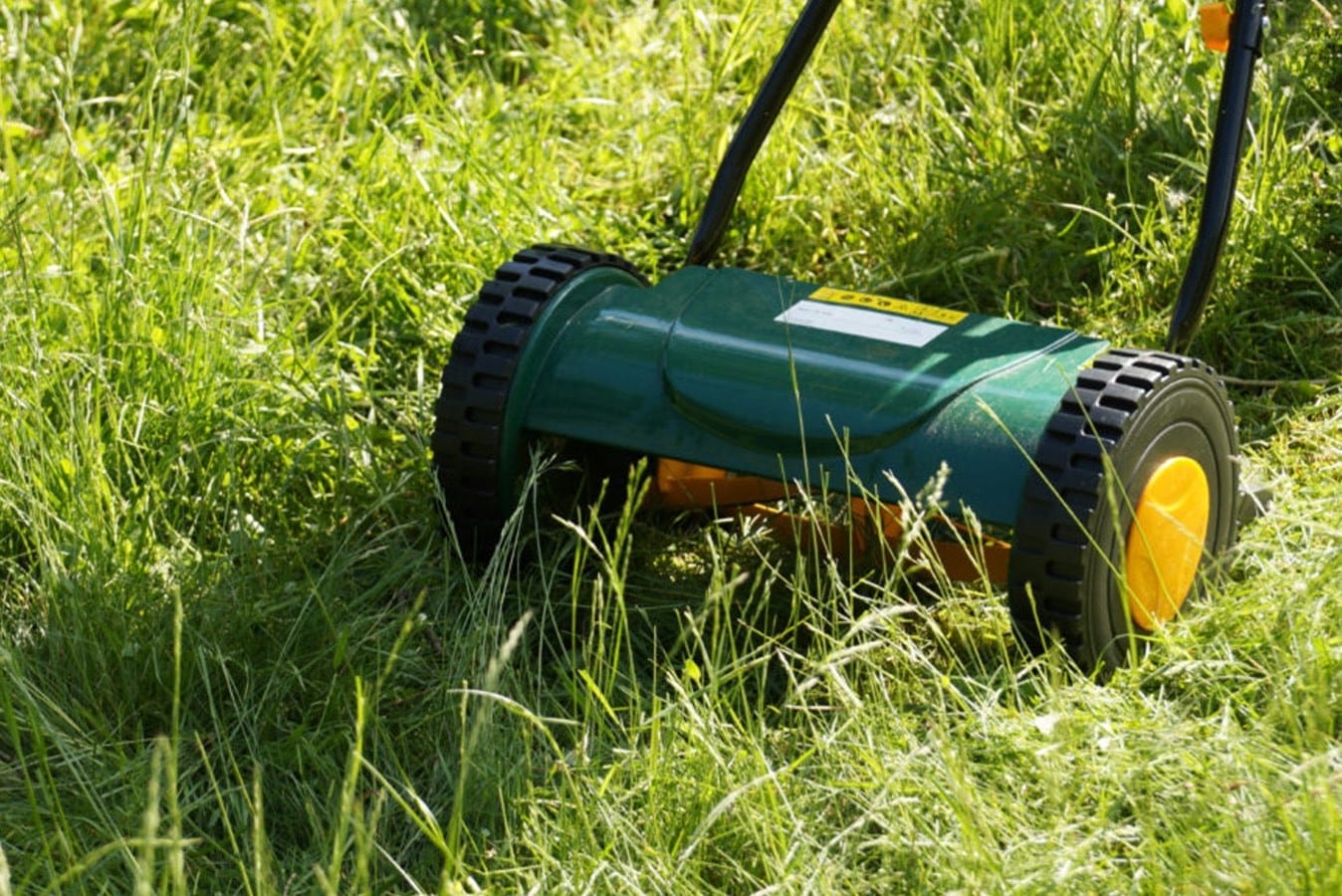 How To Cut Tall Grass With A Reel Mower