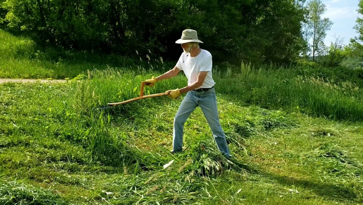 How To Cut Tall Grass Without A Mower