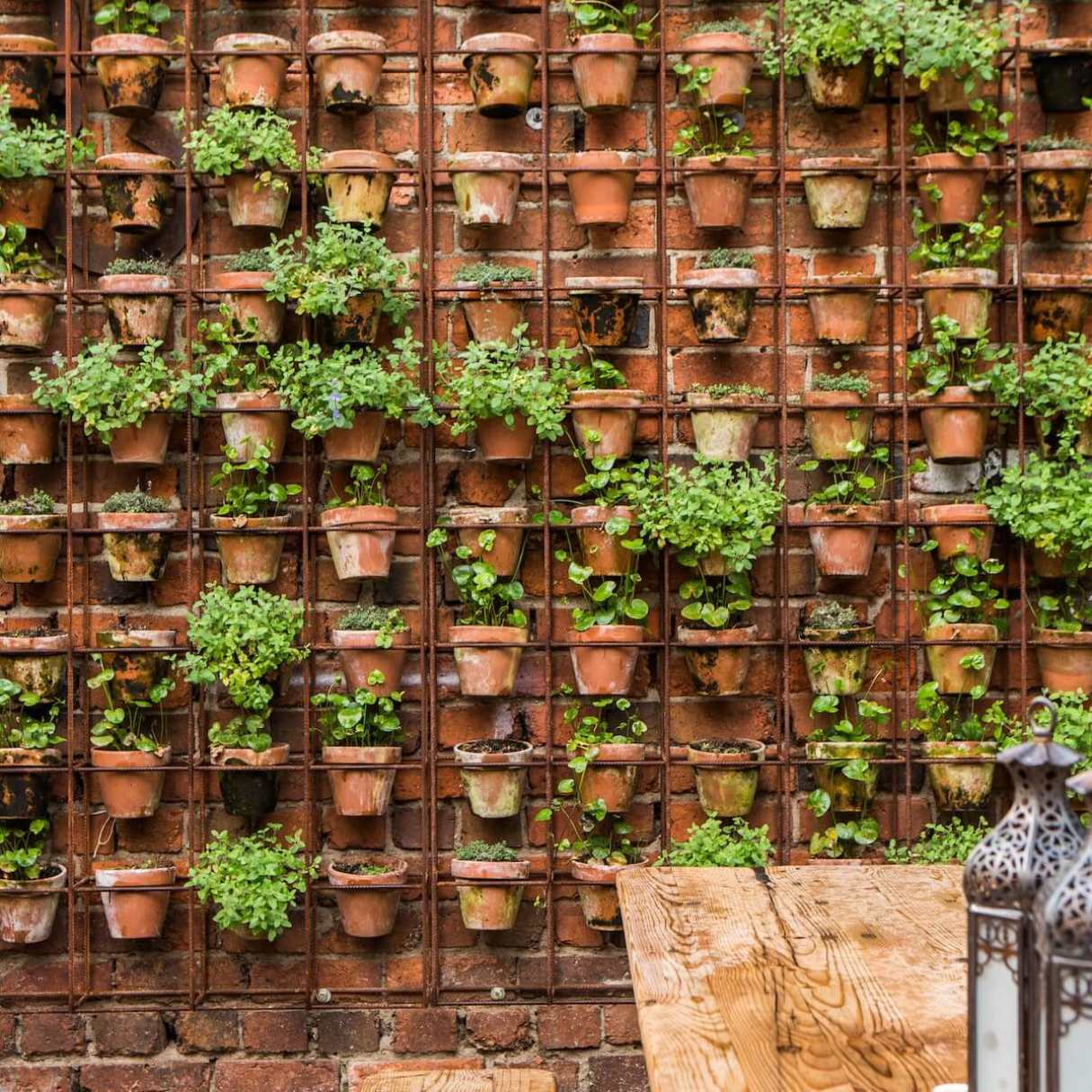 How To Decorate A Brick Wall In The Garden