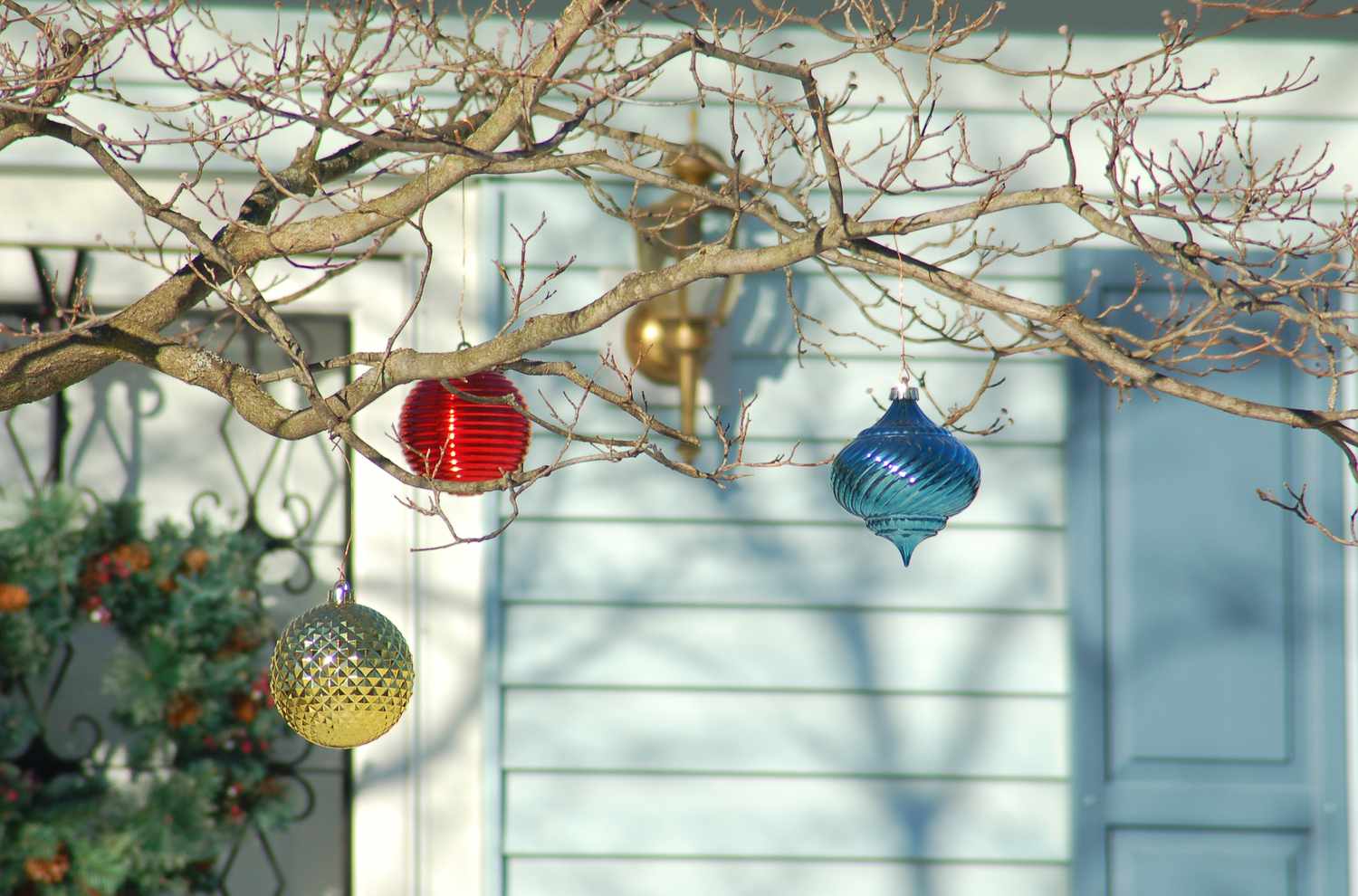 How To Decorate Outdoor Tree For Christmas