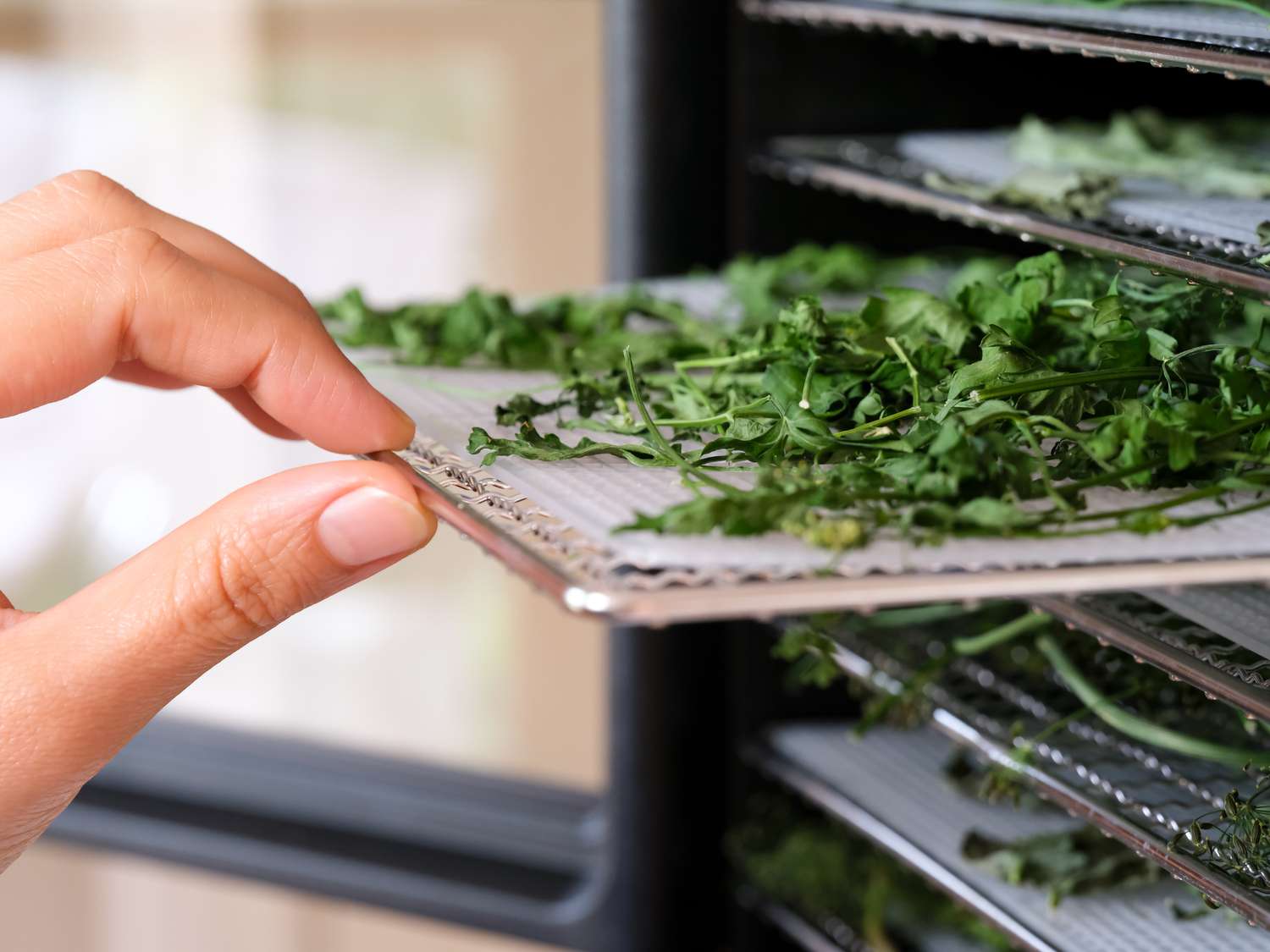 How To Dehydrate Parsley In A Dehydrator