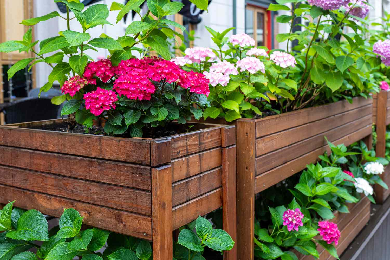 How To Design A Raised Garden Bed