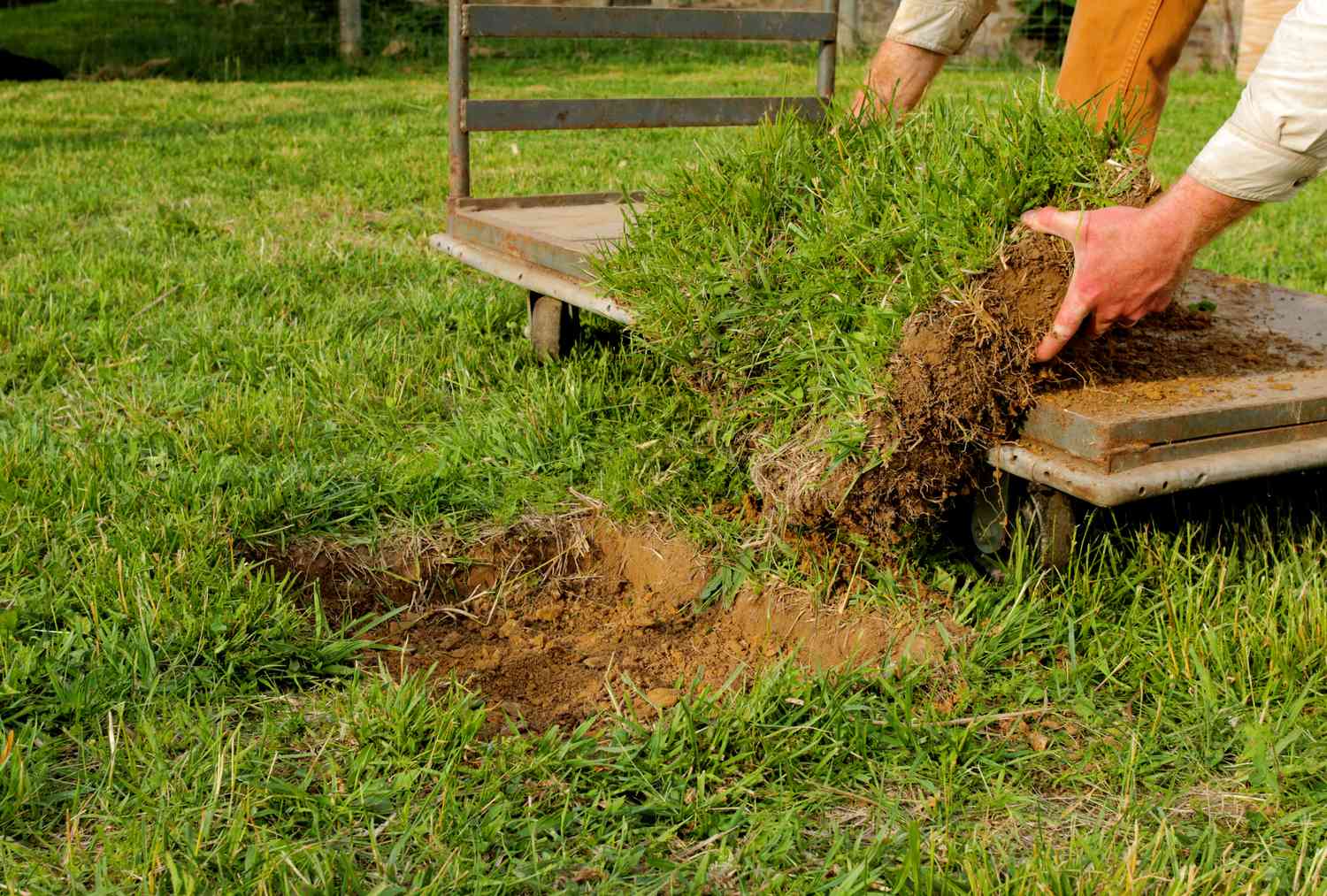 How To Dig Up Grass And Replant