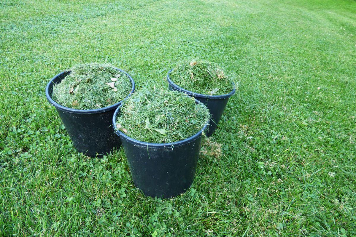How To Dispose Of Grass Clippings