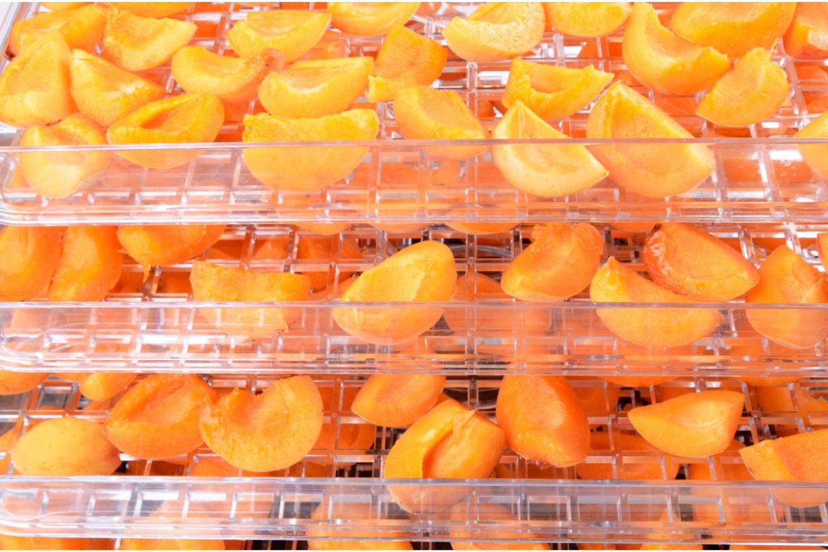 How To Dry Apricots In A Dehydrator