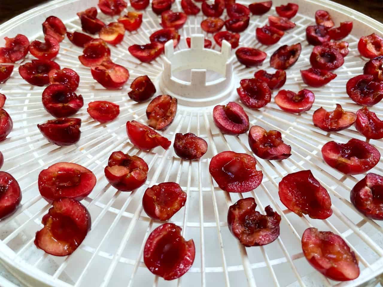 How To Dry Cherries In A Dehydrator