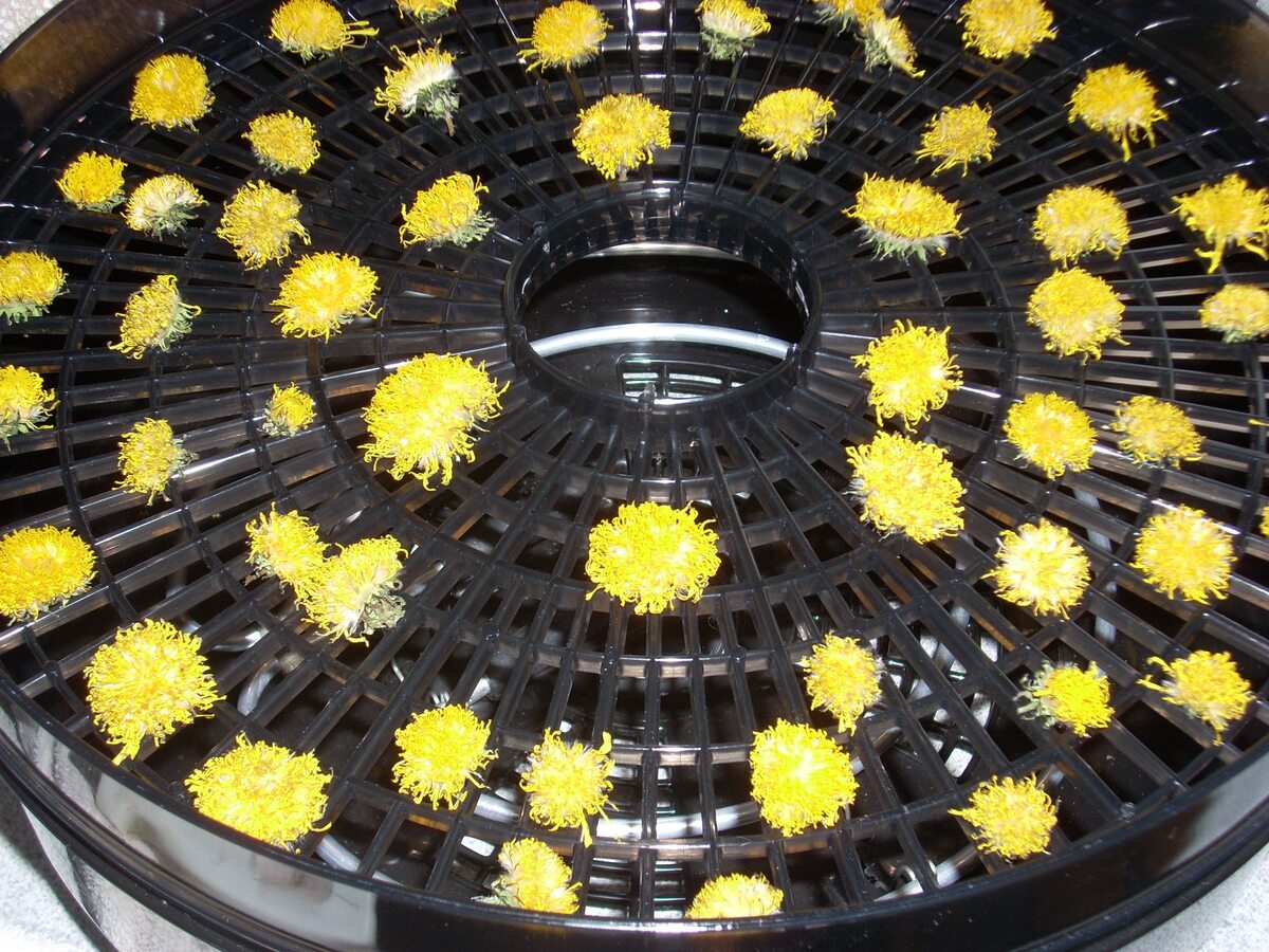 How To Dry Flowers In A Dehydrator