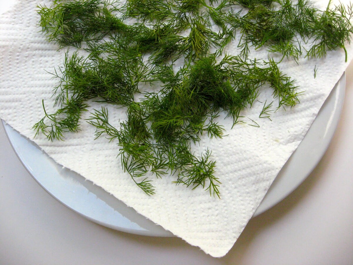 How To Dry Fresh Dill Without A Dehydrator