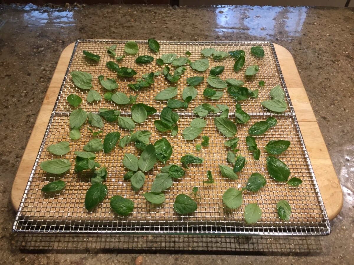 How To Dry Oregano In A Dehydrator
