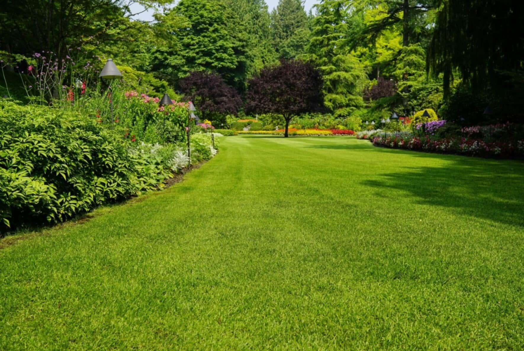 How To Encourage New Grass To Grow Faster