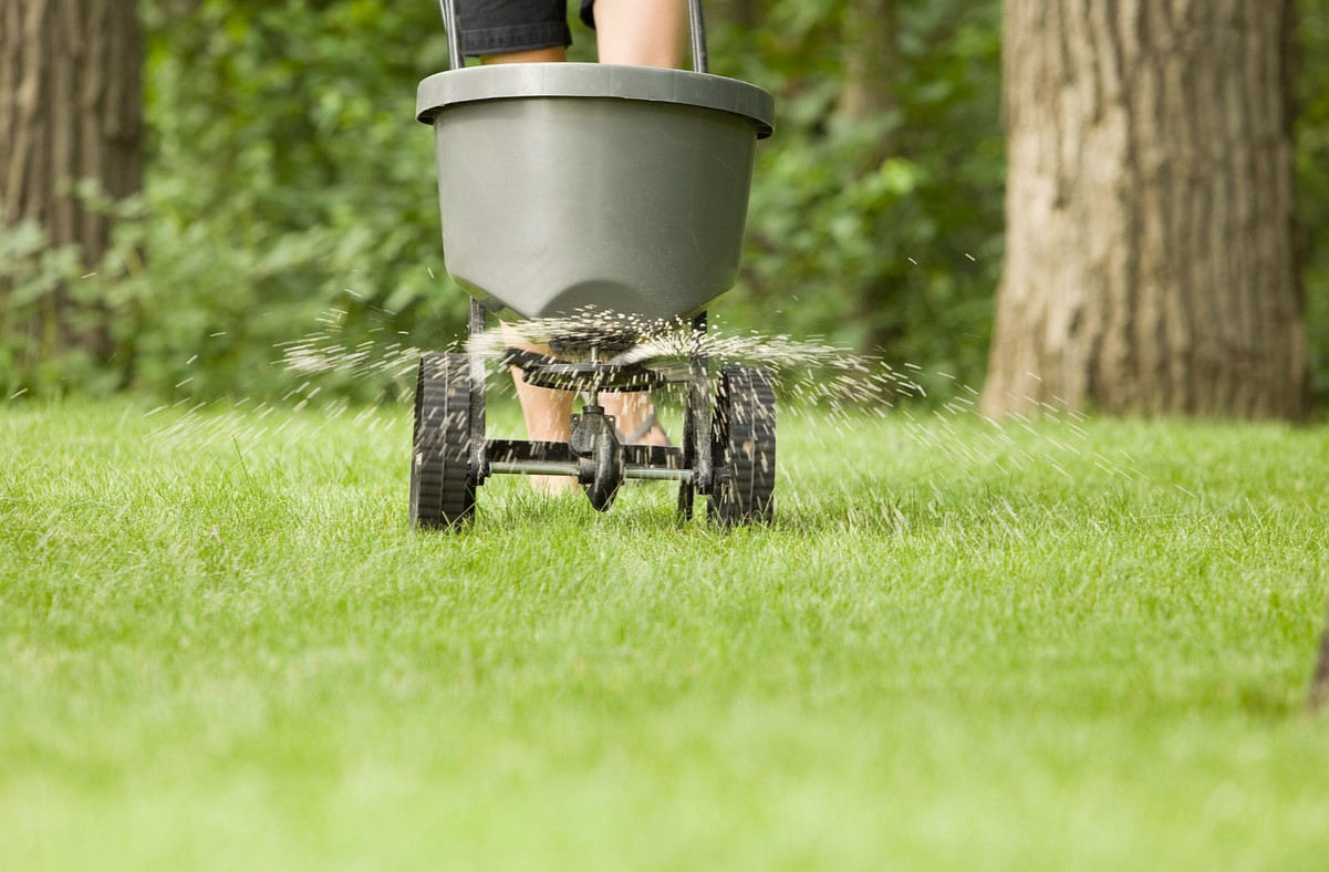 How To Fertilize Your Grass
