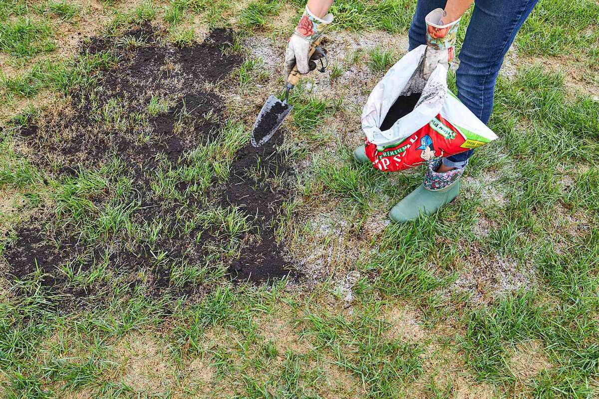 How To Fill In Dead Patches Of Grass