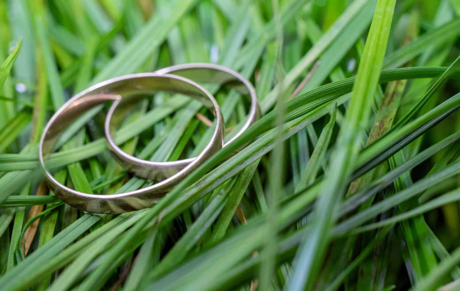 How To Find A Ring In The Grass