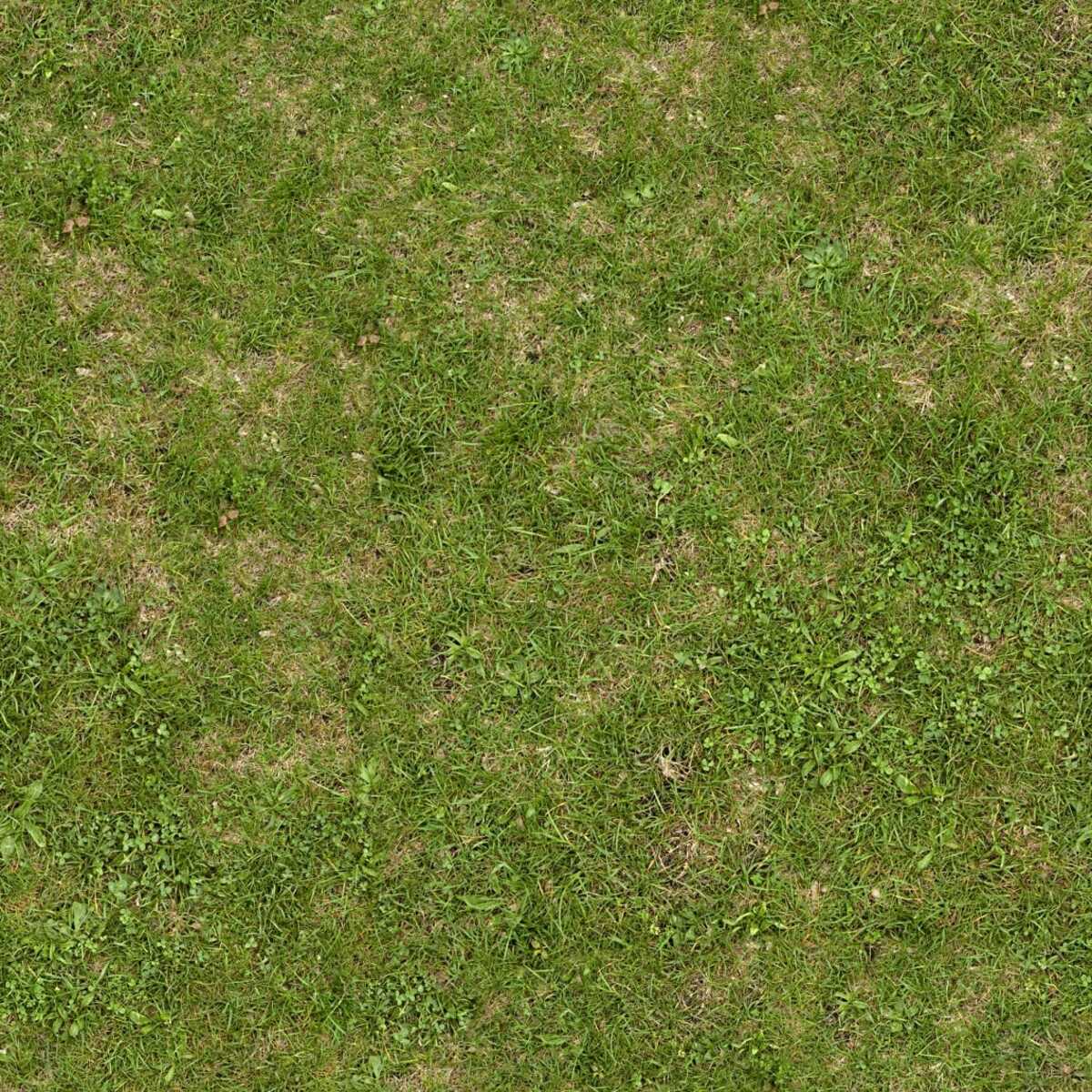 How To Fix Patchy New Grass