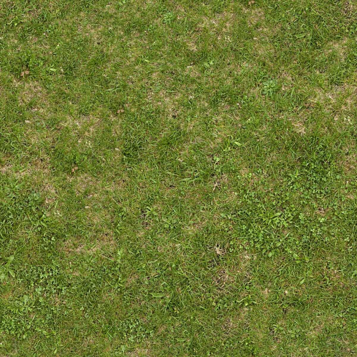 How To Fix Patchy New Grass Storables
