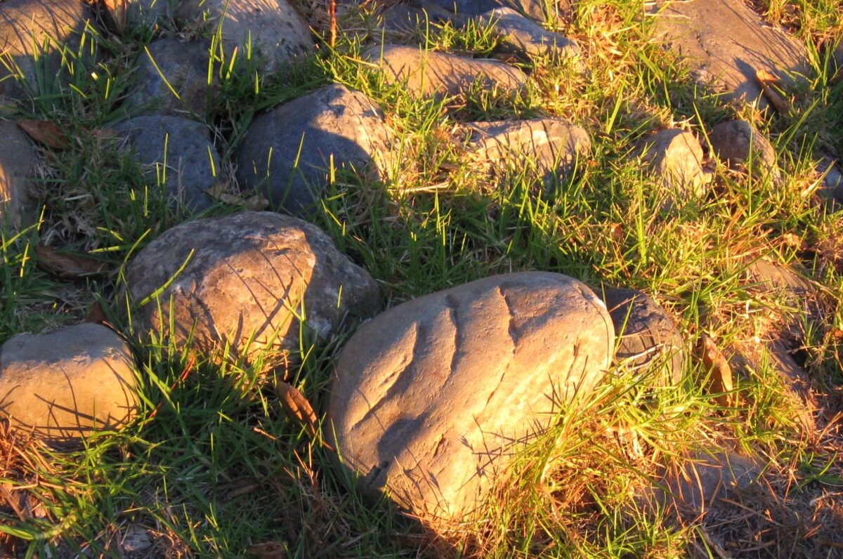 How To Get Grass Out Of Rocks