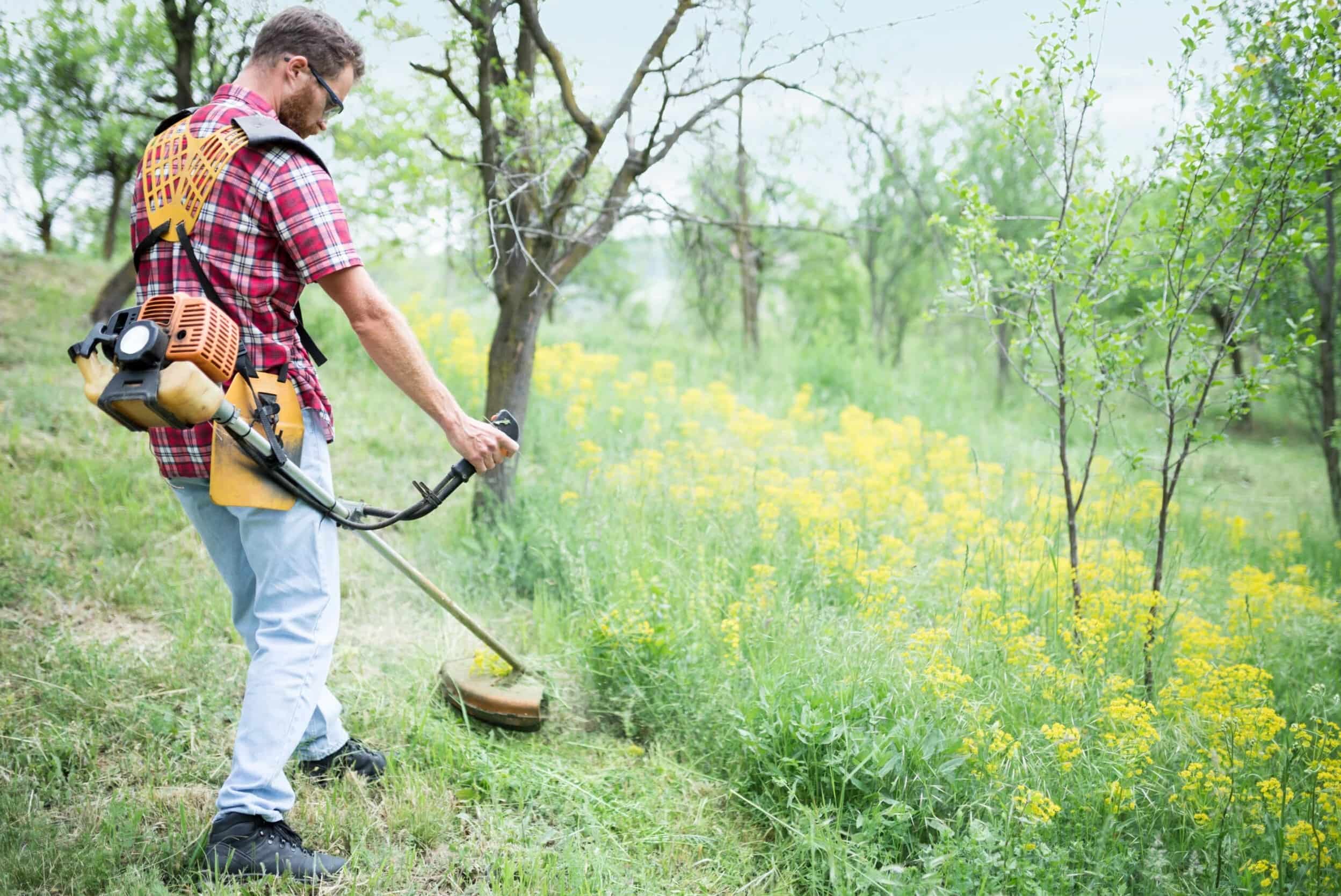 How To Get Grass Out Of Your Eye