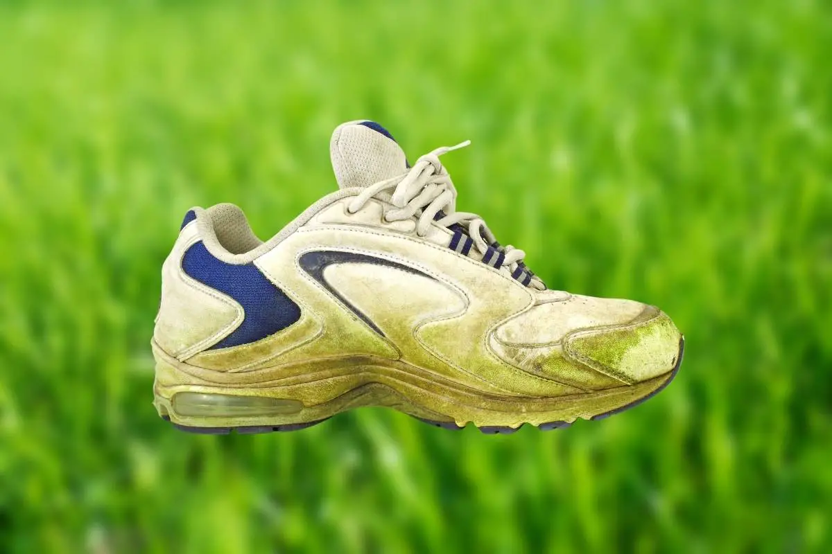 How To Get Grass Stains Off White Shoes