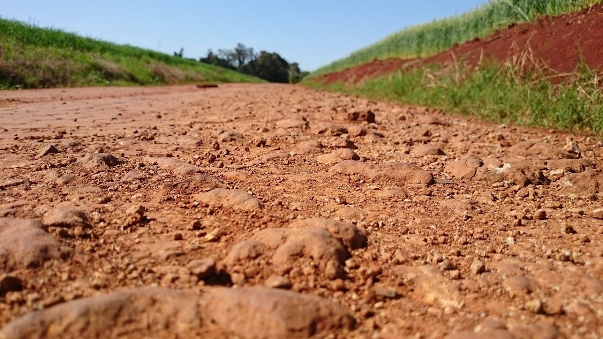 How To Get Grass To Grow In Red Clay