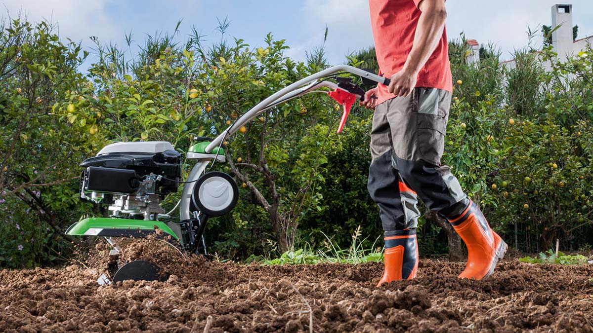 How To Get Ground Ready For Grass Seed