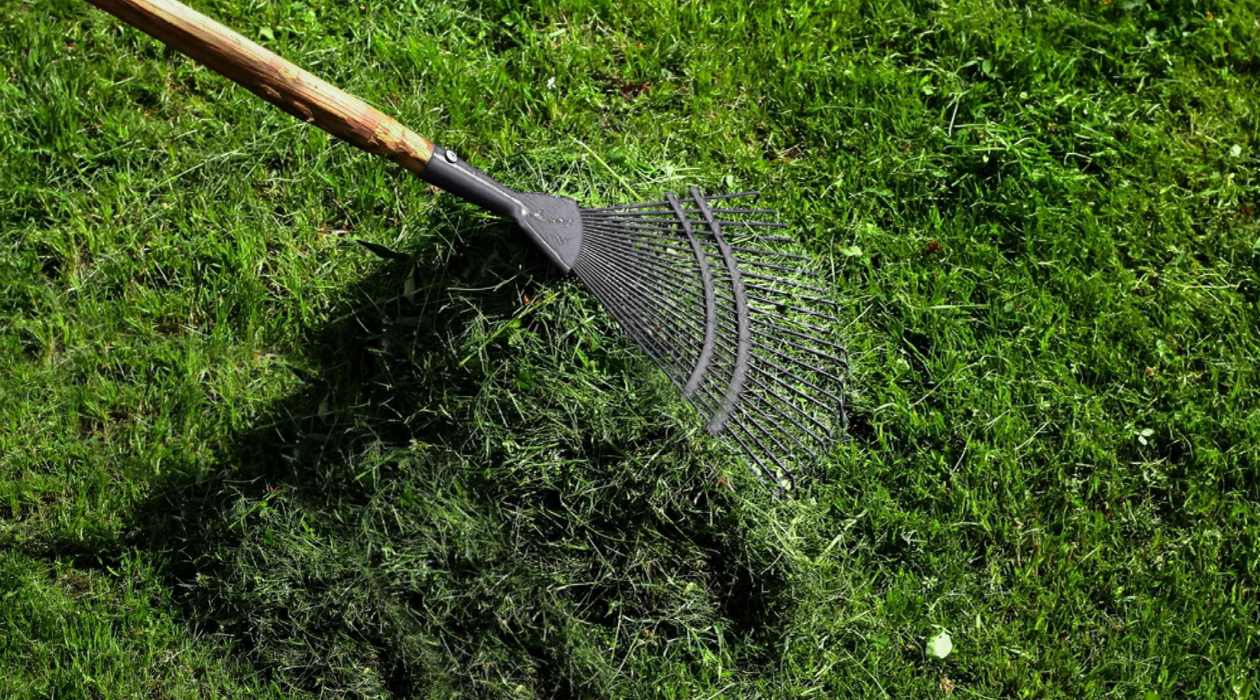 How To Get Rid Of Bad Grass In Lawn