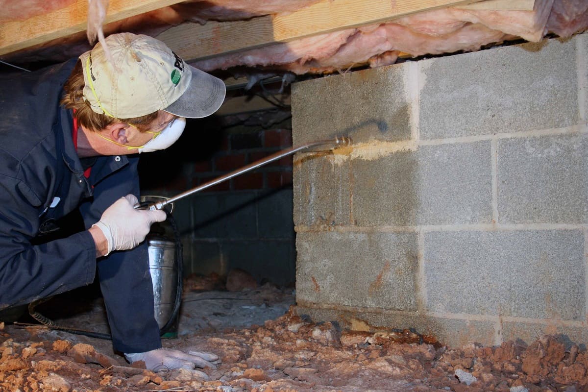 How To Get Rid Of Fungus In A Crawl Space