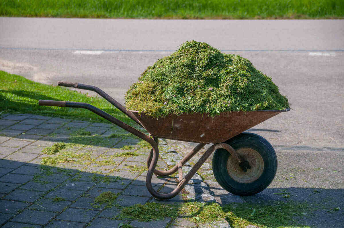 How To Get Rid Of Grass Clippings After Mowing
