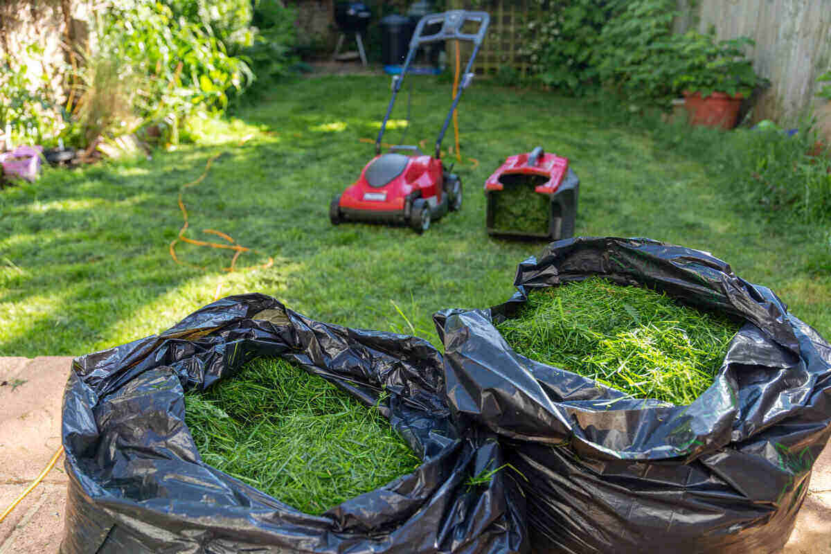 How To Get Rid Of Mowed Grass