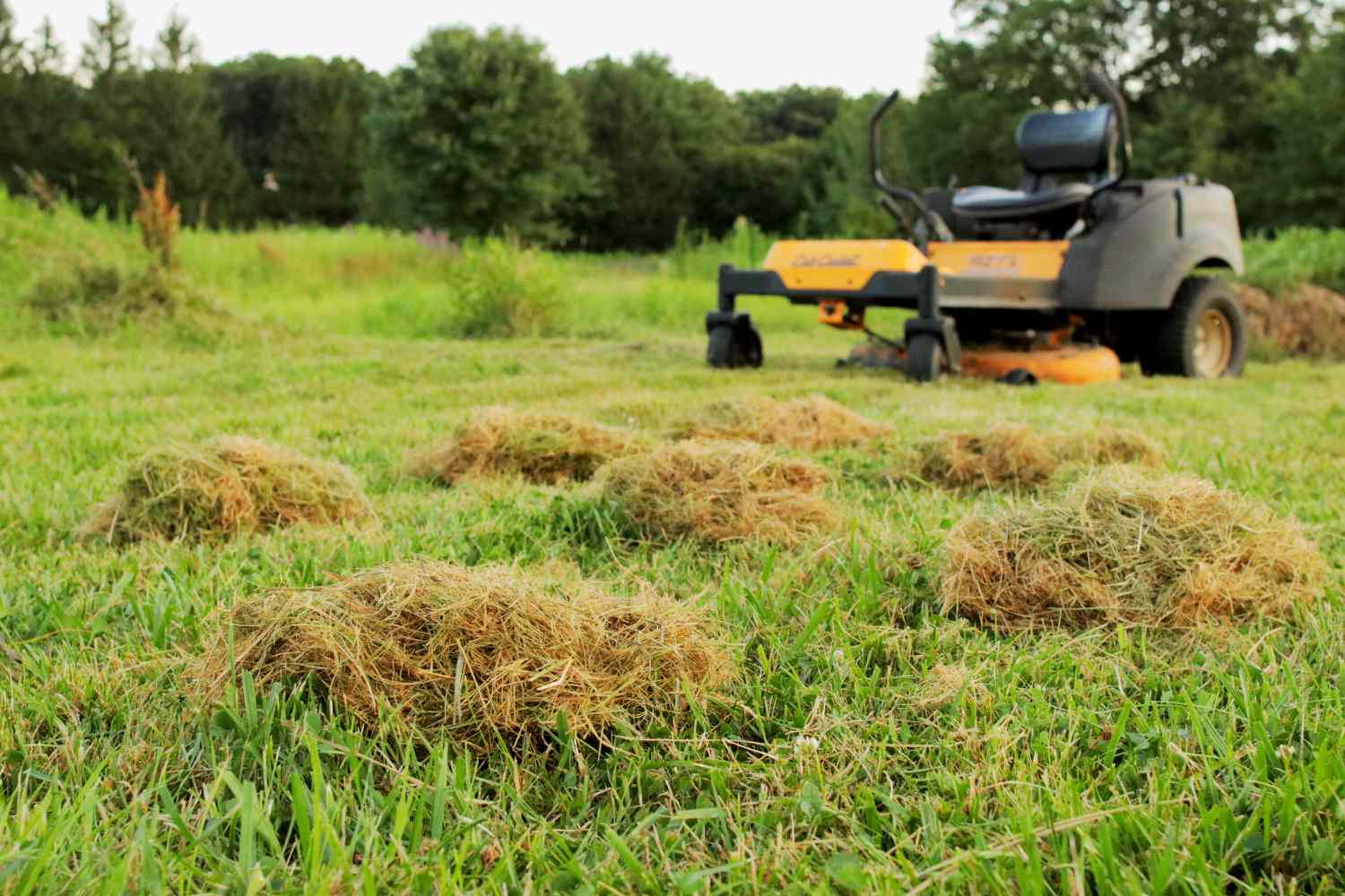 How To Get Rid Of Thick Clumps Of Grass