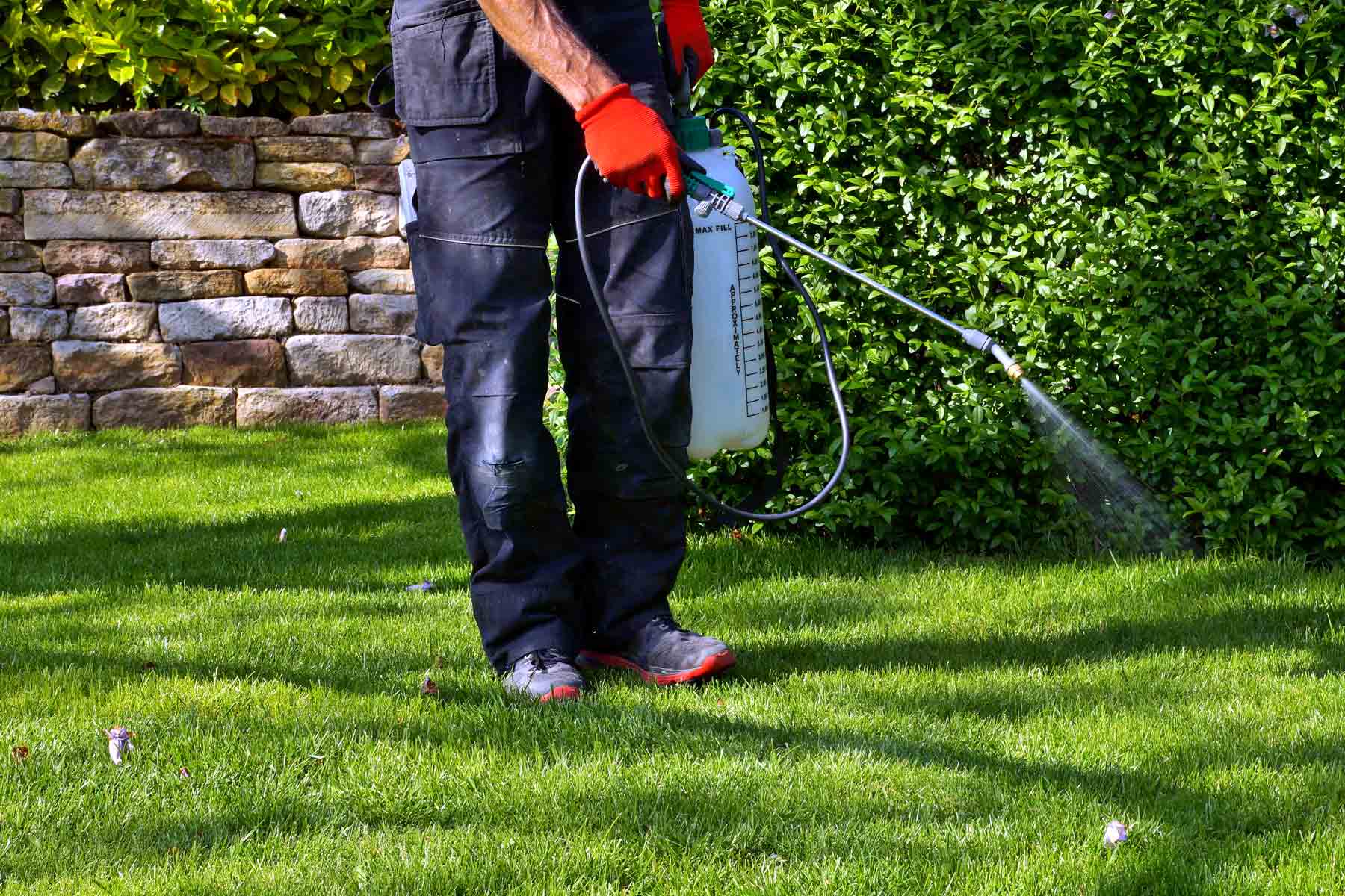 How To Get Rid Of Weeds On Grass
