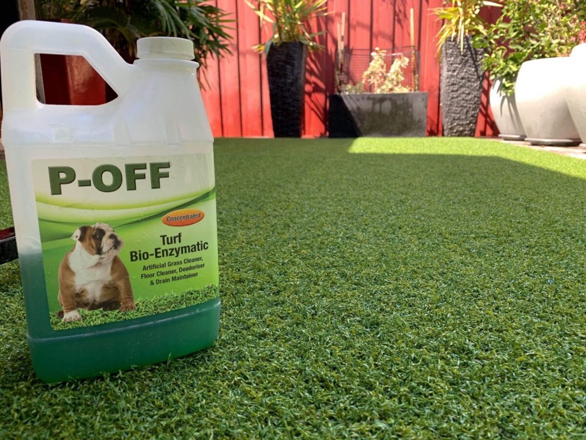 How To Get Urine Smell Out Of Grass