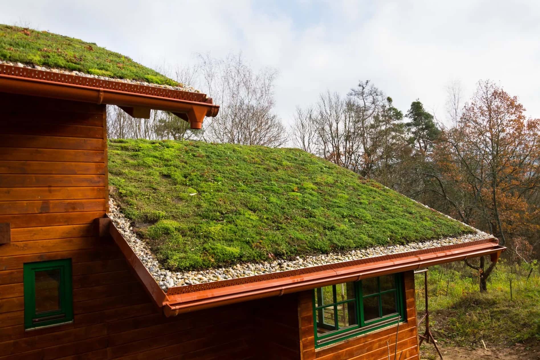 How To Grow Grass On A Roof