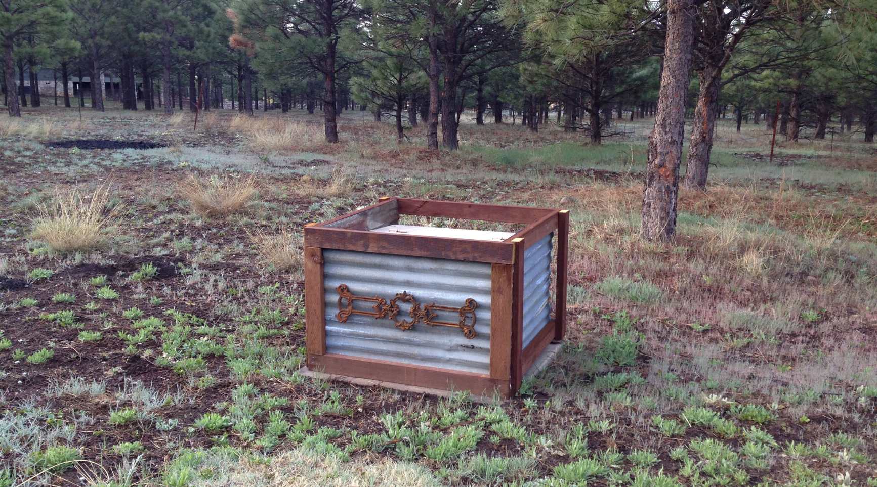 How To Hide Outdoor Utility Boxes