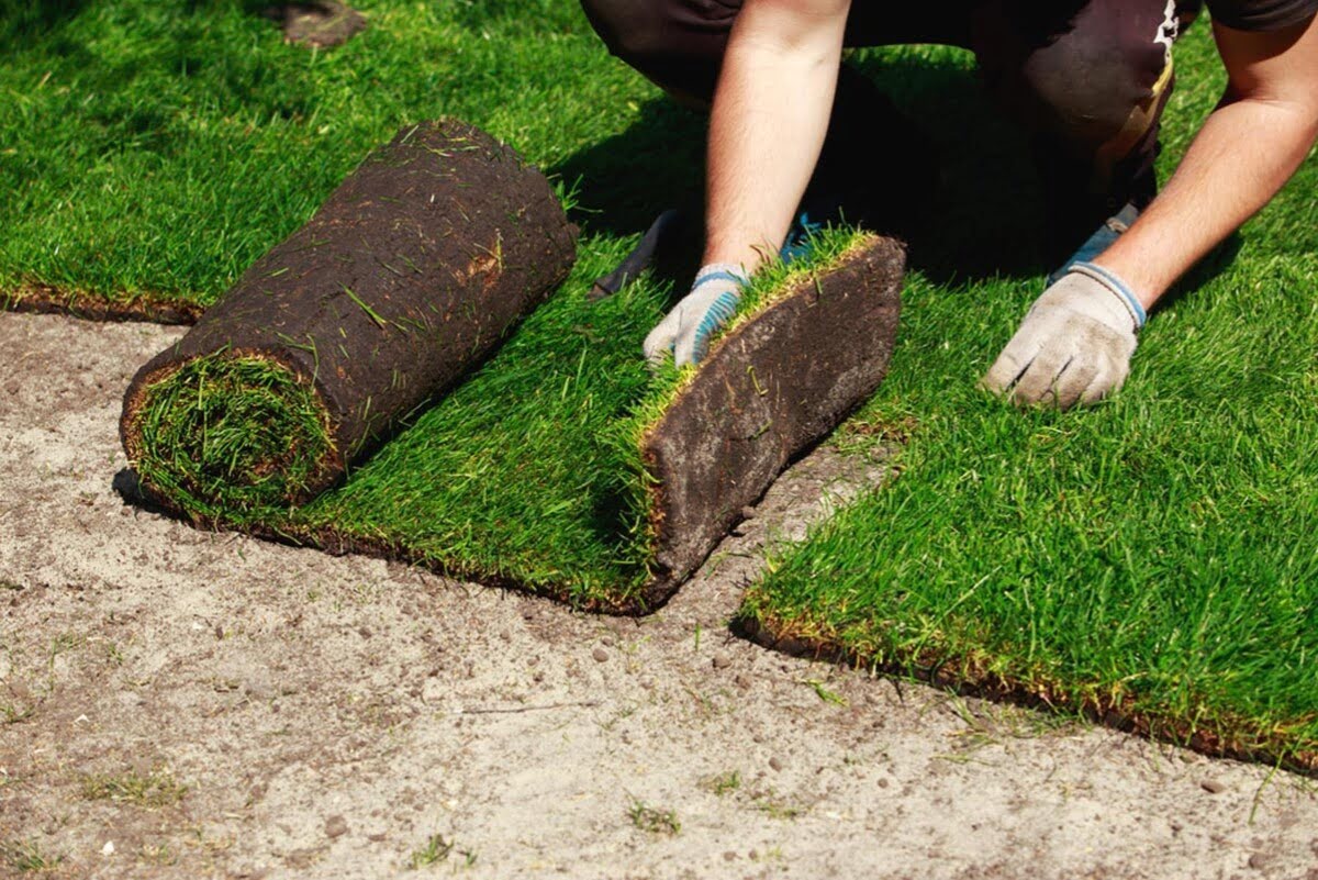 How To Install Sod Grass