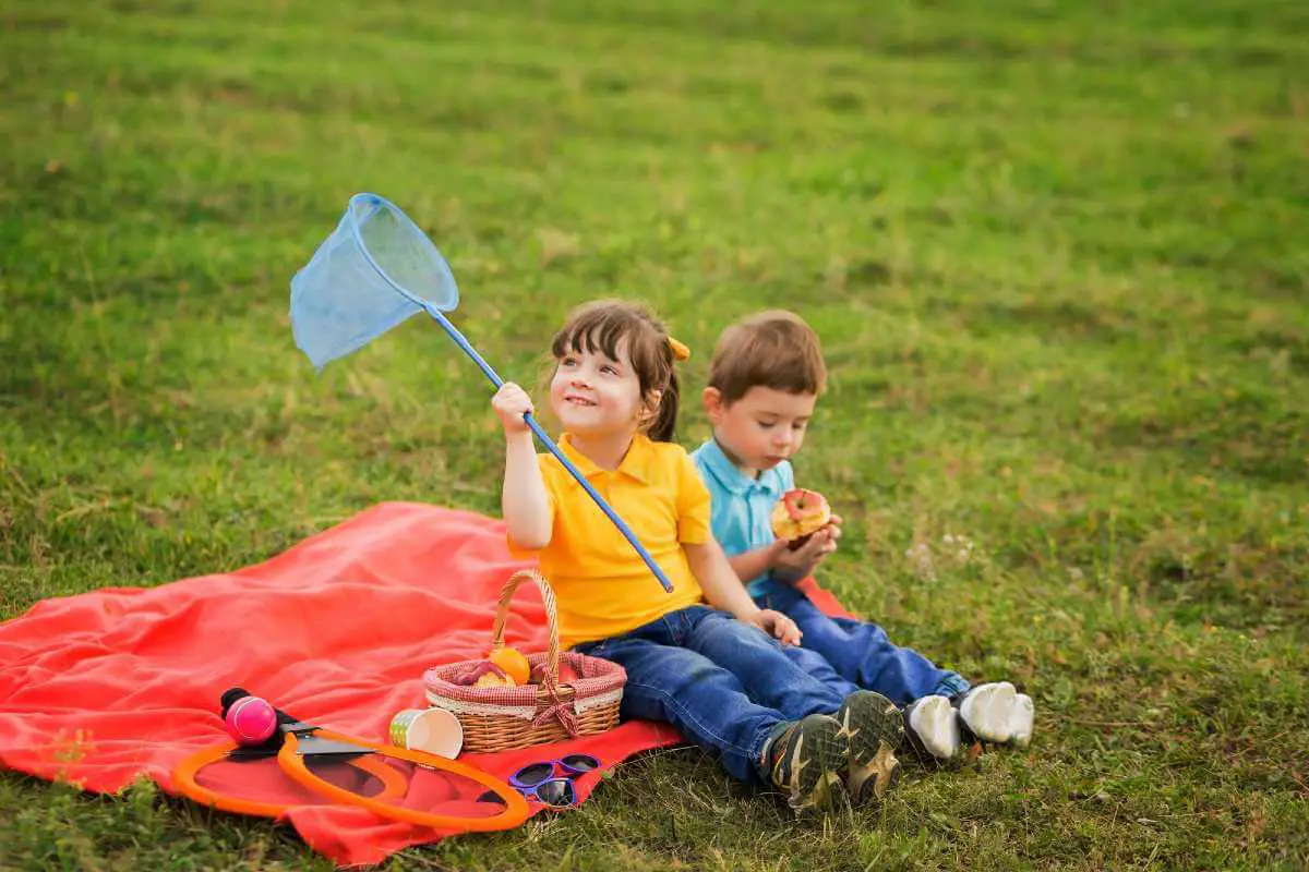 How To Keep Bugs Away From A Picnic